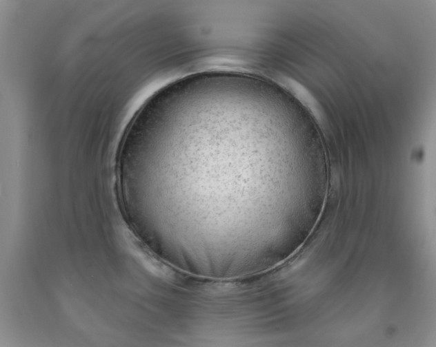 X0000091971435200709201356