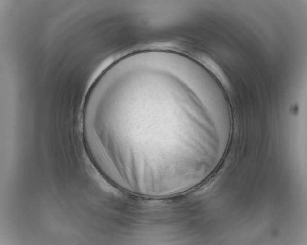 X0000091971436200709201356
