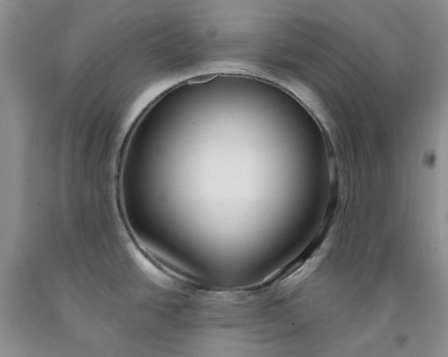 X0000091971438200709201356
