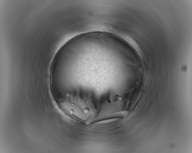 X0000091971439200709201356
