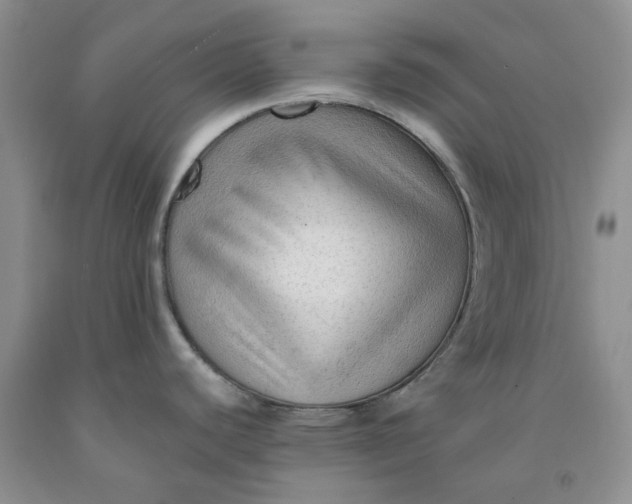 X0000091971440200709201356