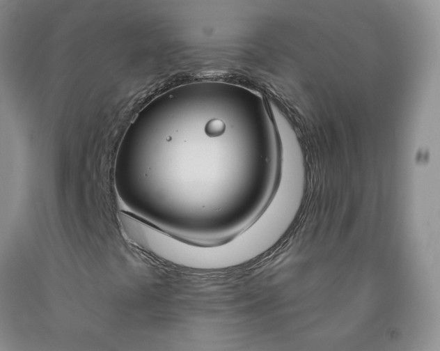 X0000091971441200709201355