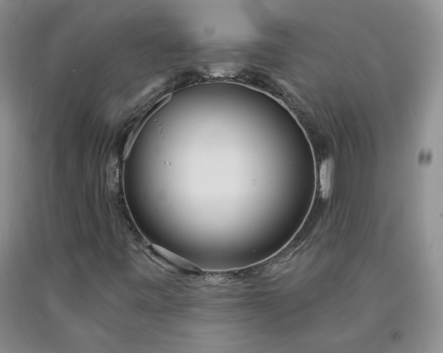 X0000091971443200709201355