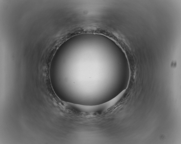 X0000091971445200709201355