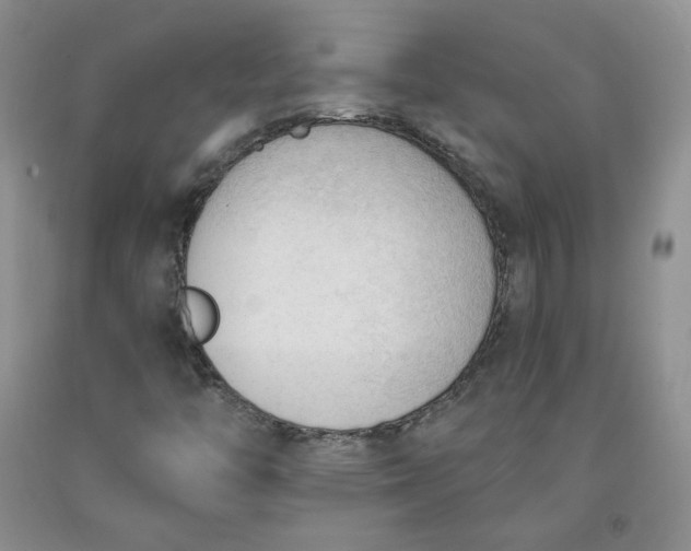 X0000091971446200709201355