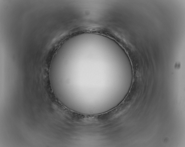 X0000091971447200709201355