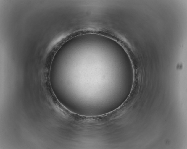 X0000091971448200709201355