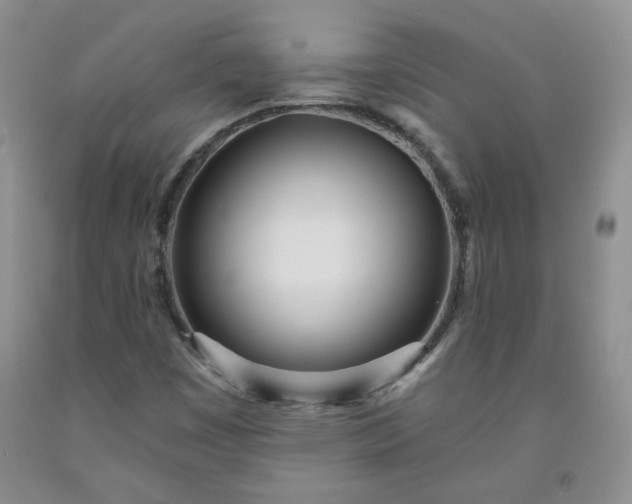 X0000091971449200709201355
