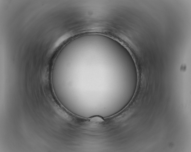 X0000091971450200709201355