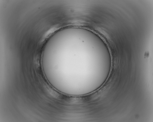 X0000091971451200709201355