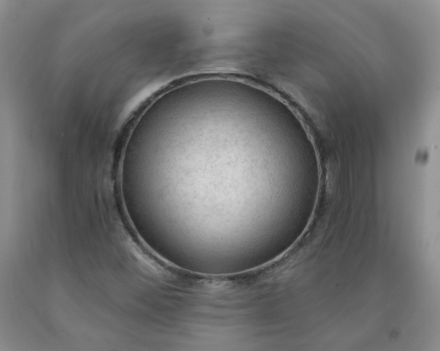 X0000091971452200709201355