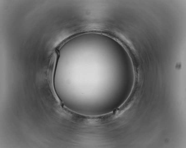 X0000091971453200709201355