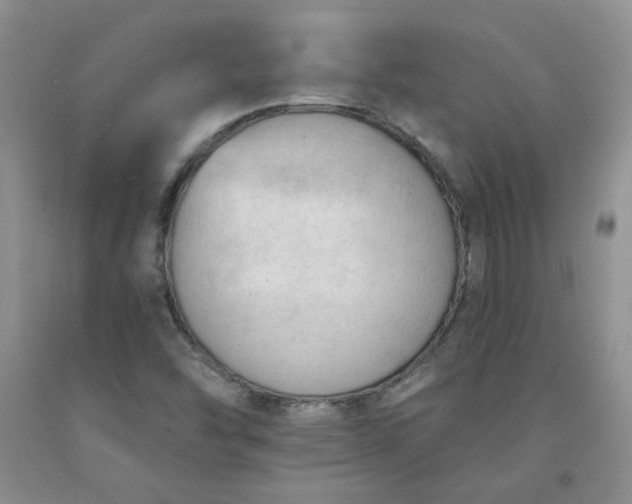 X0000091971454200709201355
