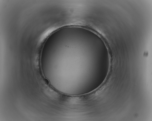 X0000091971455200709201355