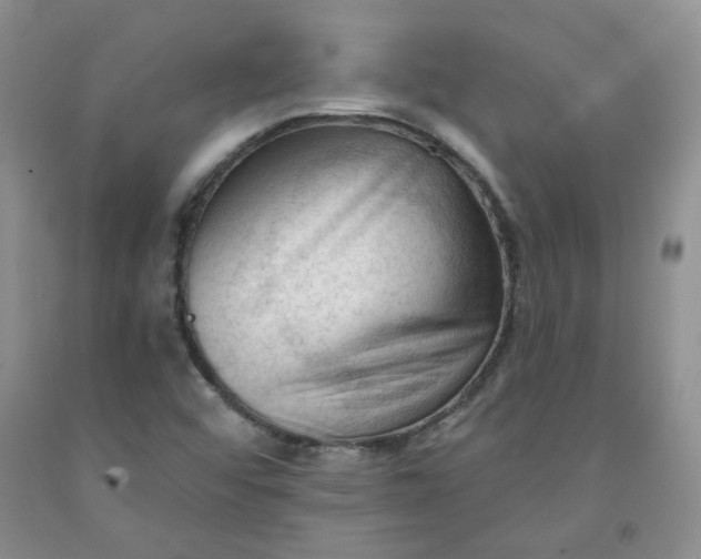 X0000091971456200709201355