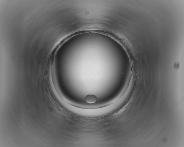 X0000091971457200709201355