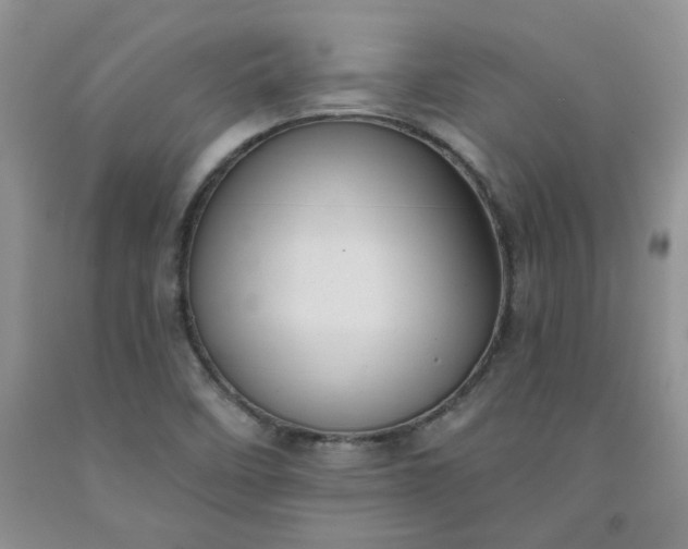 X0000091971458200709201355