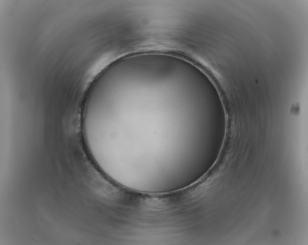 X0000091971459200709201355