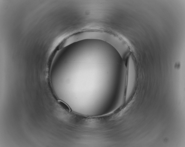 X0000091971461200709201355
