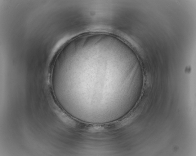 X0000091971462200709201355