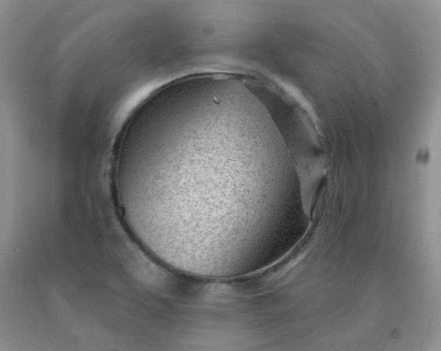 X0000091971463200709201355