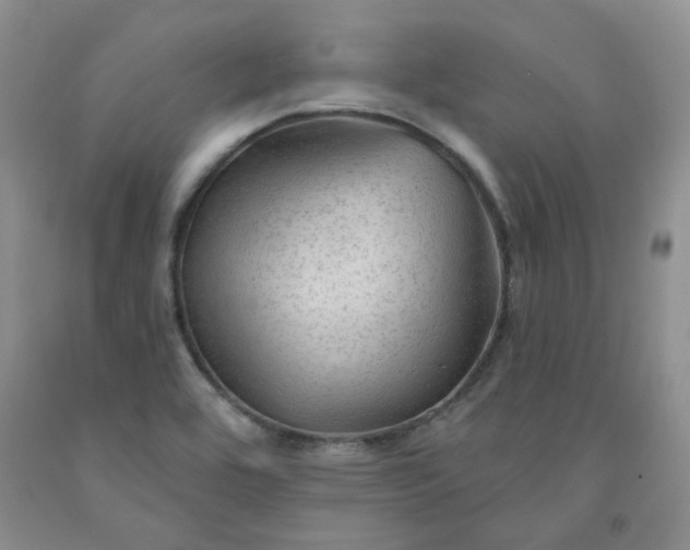 X0000091971464200709201355