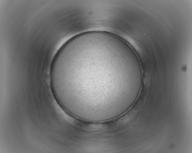 X0000091971468200709201355