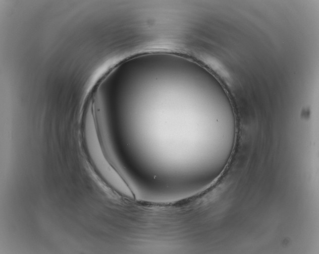 X0000091971469200709201355