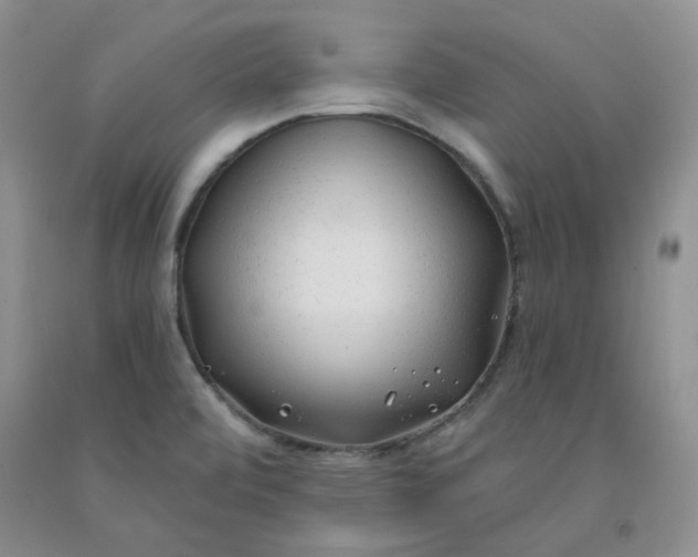 X0000091971472200709201355