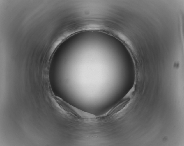 X0000091971473200709201355