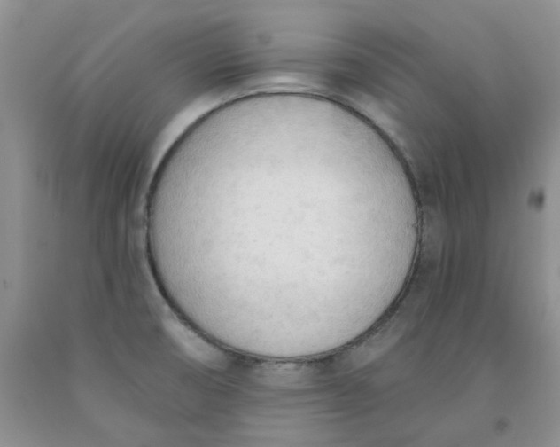 X0000091971474200709201355