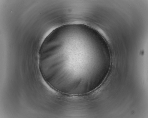 X0000091971476200709201355