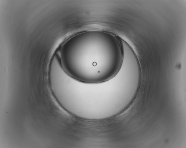 X0000091971477200709201355