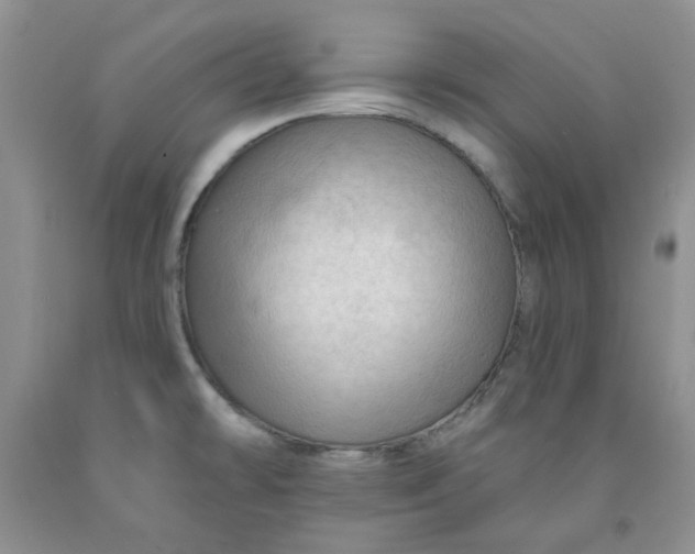 X0000091971478200709201355