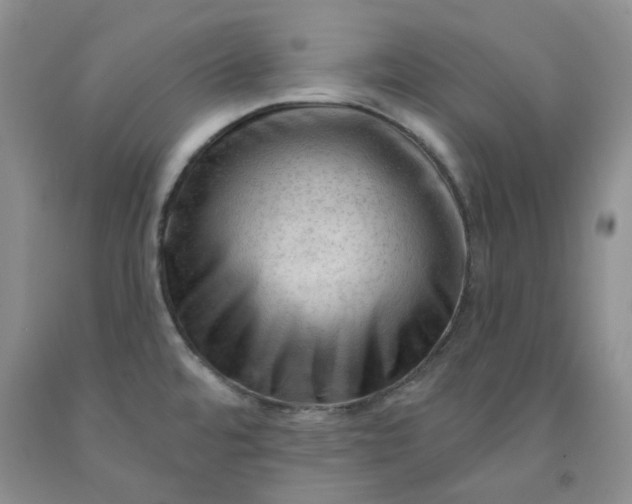 X0000091971480200709201355