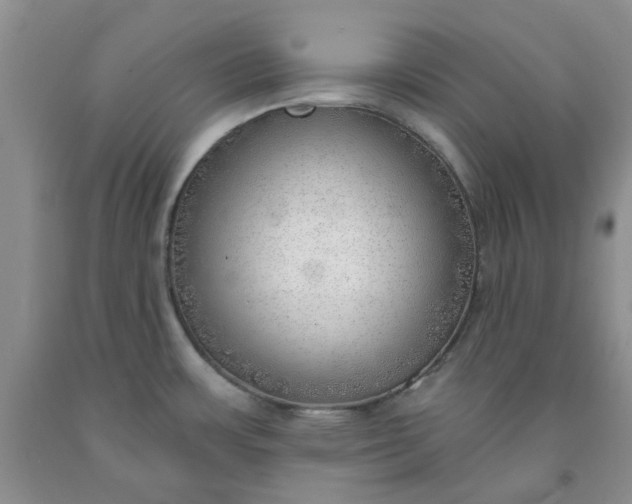 X0000091971483200709201355