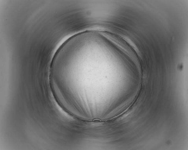 X0000091971484200709201355