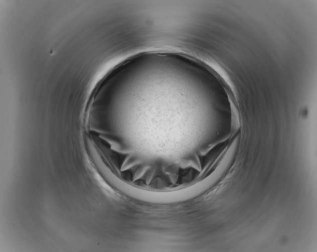 X0000091971485200709201355