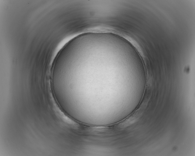 X0000091971486200709201355