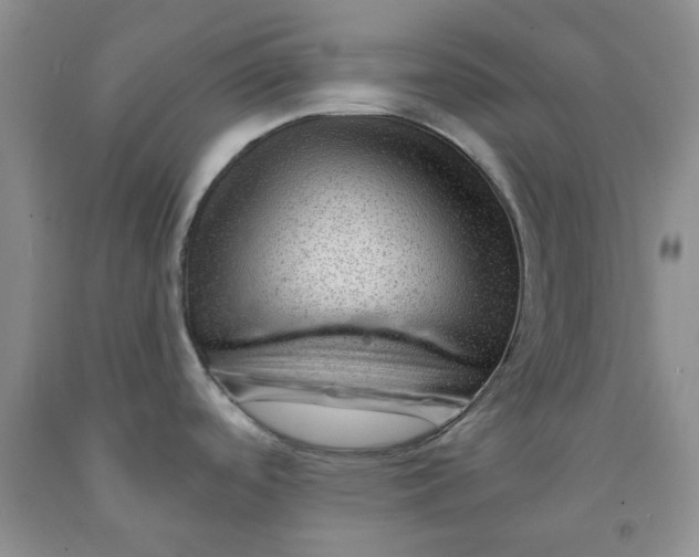 X0000091971488200709201355
