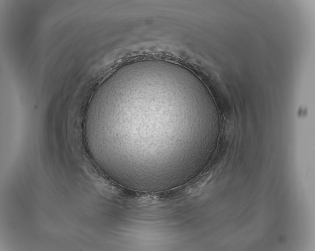 X0000091971489200709201354