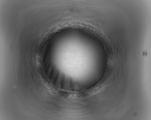 X0000091971490200709201354
