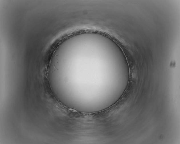 X0000091971495200709201354