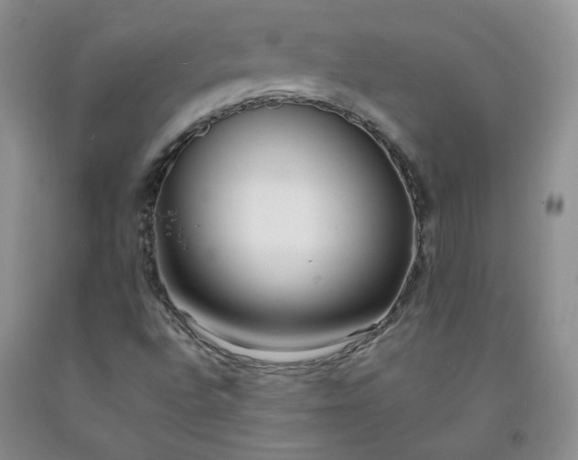 X0000091971496200709201354