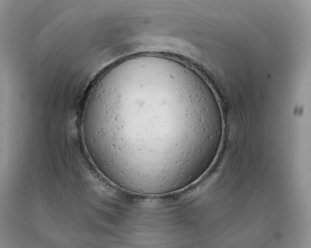 X0000091971497200709201354