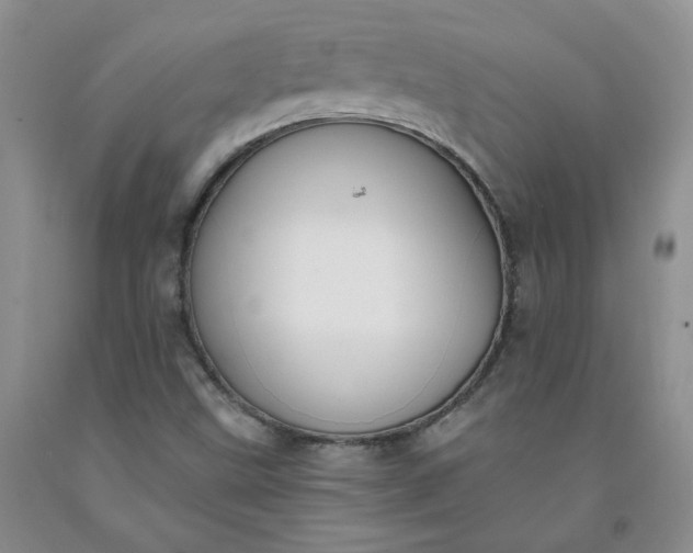 X0000091971499200709201354
