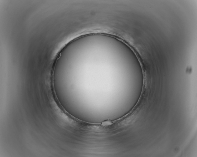 X0000091971500200709201354