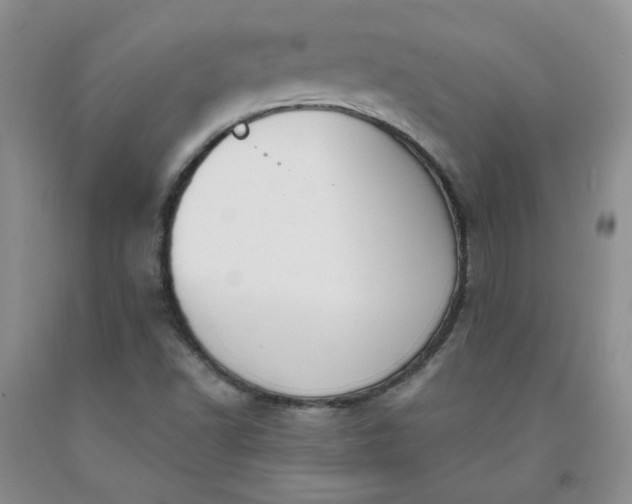 X0000091971502200709201354