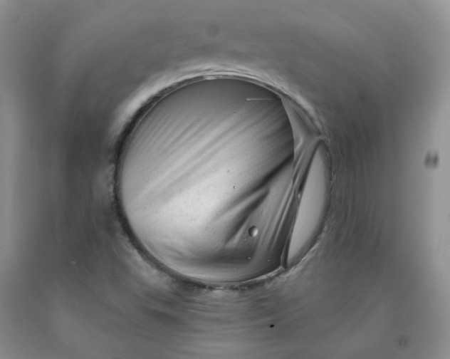 X0000091971503200709201354