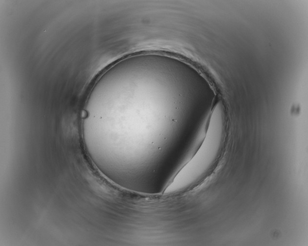 X0000091971505200709201354